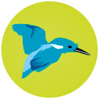 Icon Kingfisher